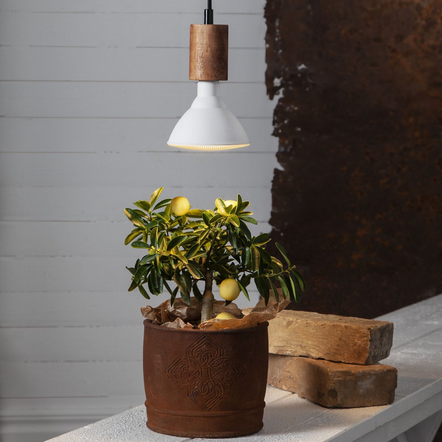 led-lampa-e27-par38-plant-light-357-35