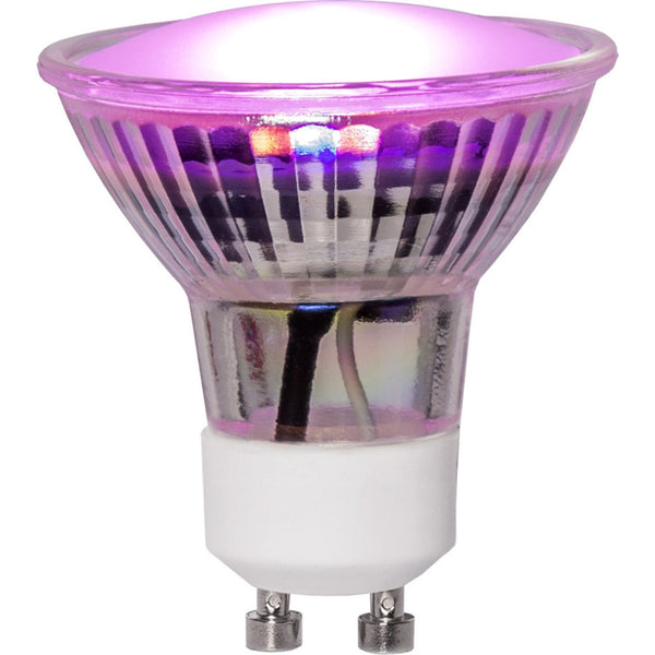 Star Trading - Lampada a LED GU10 MR16 Light pianta - 3,5 W