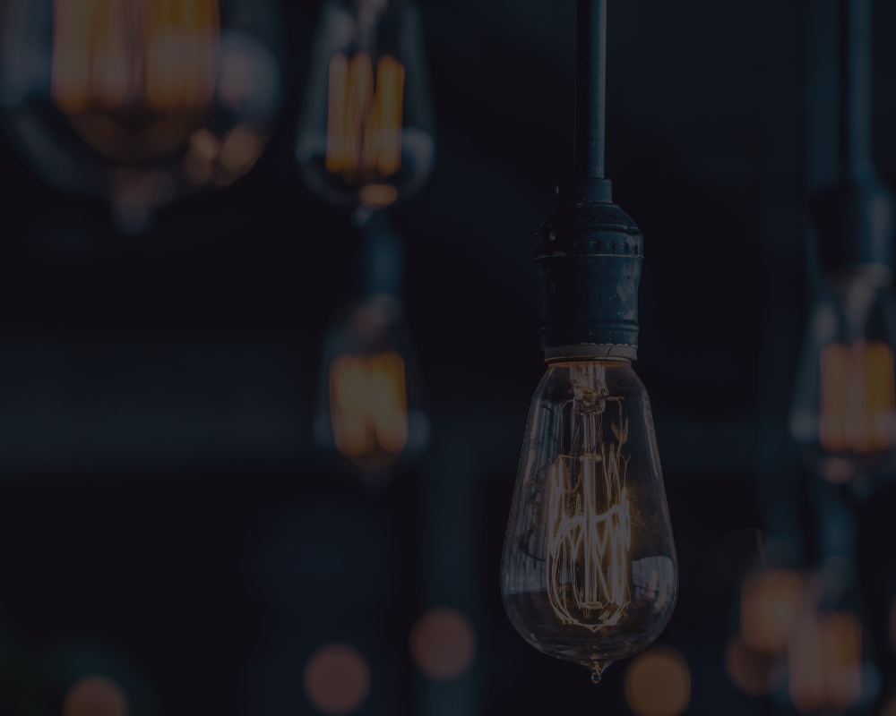 La maggior parte acquistata durante i saldi